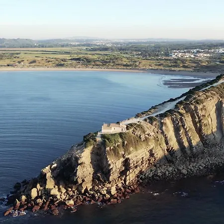 Floresta - By Sch São Martinho do Porto